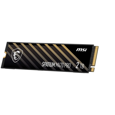 اس اس دی اینترنال ام اس آی Spatium M470 Pro M.2 2280 NVMe ظرفیت 2 ترابایت