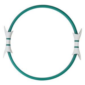 حلقه ورزشی تسکو مدل T-Life 11