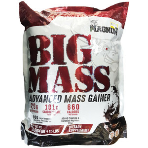 گینر بیگ مس مگنوم 6804 گرم