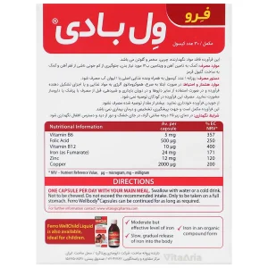 فرو ول بادی