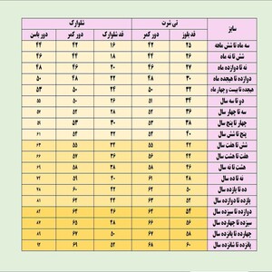 ست تی شرت و شلوارک دخترانه مدل گربه عروسکی کد 703