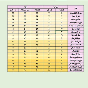 ست تی شرت و شلوار دخترانه مدل گربه عروسکی کد 702