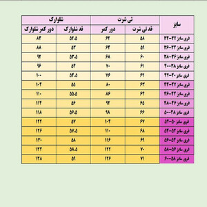 ست تی شرت و شلوارک زنانه مدل 1001