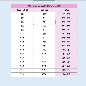 تیشرت آستین کوتاه زنانه طرح labubu کد7092180