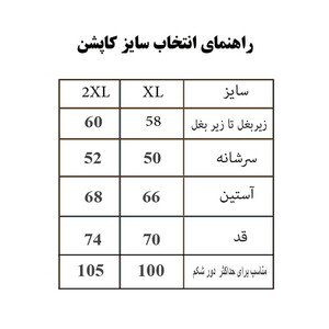 کاپشن مردانه Winter Core  کد 7167771