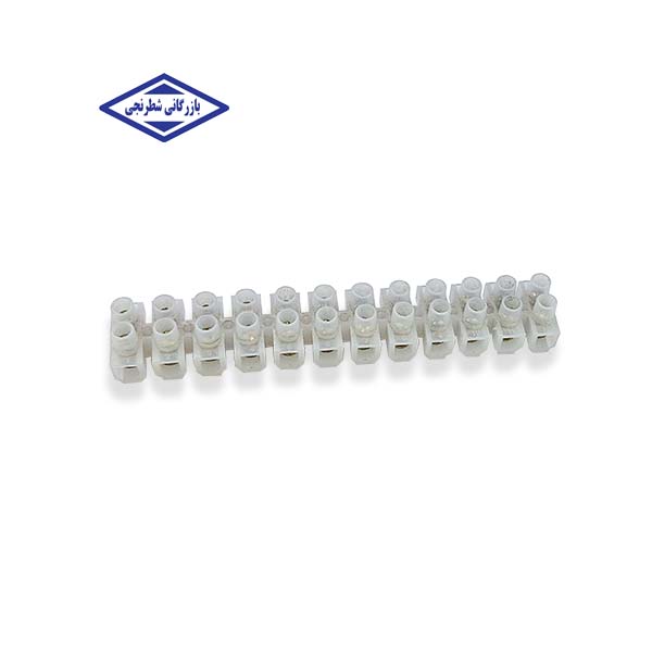 ترمینال شاخه ایی 10 رعد گستر  600 ولت