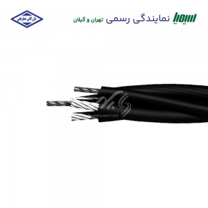 کابل خودنگهدار آلومینیومی 1 در 16+25+25 سیمیا