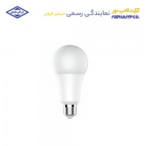لامپ ال ای دی حبابی 15 وات لامپ نور