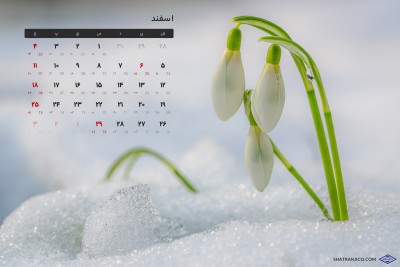 اسفند ۱۴۰۲