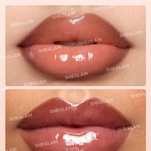 خط لب و برق لب Lip Rules رنگ  Case x Case شیگلم SHEGLAM