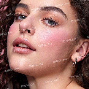 رژگونه دو رنگ Cheek 2 Cheek - رنگ Pink Sprinkles شیگلم SHEGLAM