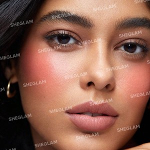 رژگونه دو رنگ Cheek 2 Cheek - رنگ Cherry Sorbet شیگلم SHEGLAM