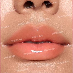 براق کننده لب تقویت کننده شاین  رنگ Own Your Shine شیگلم SHEGLAM
