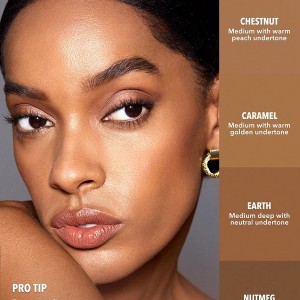 کانسیلر  PERFECT SKIN HIGH COVERAGE CONCEALER -NUTMEG شیگلم SHEGLAM