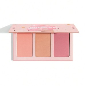 رژگونه های سه تایی SWEET رنگ ENAMORED شیگلم SHEGLAM