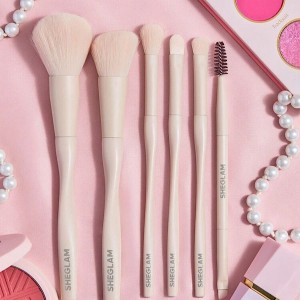 مجموعه برس‌های حرفه‌ای  PRO CORE BRUSH KIT شیگلم SHEGLAM