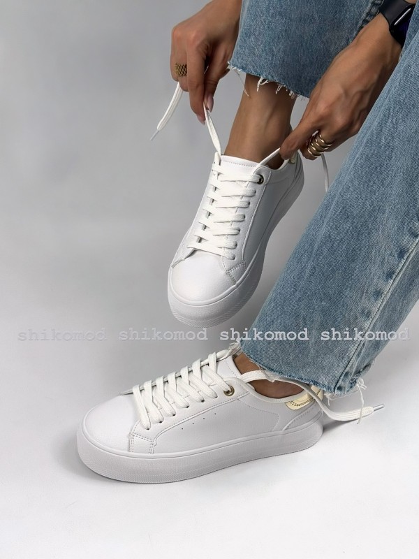 ونس برشکا پایتخت 2308