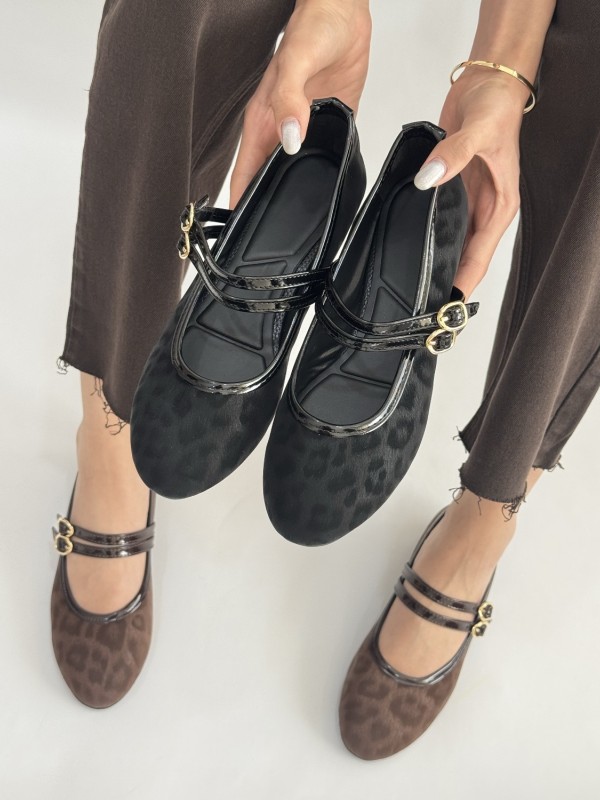 کالج دو سگک مادون 2469