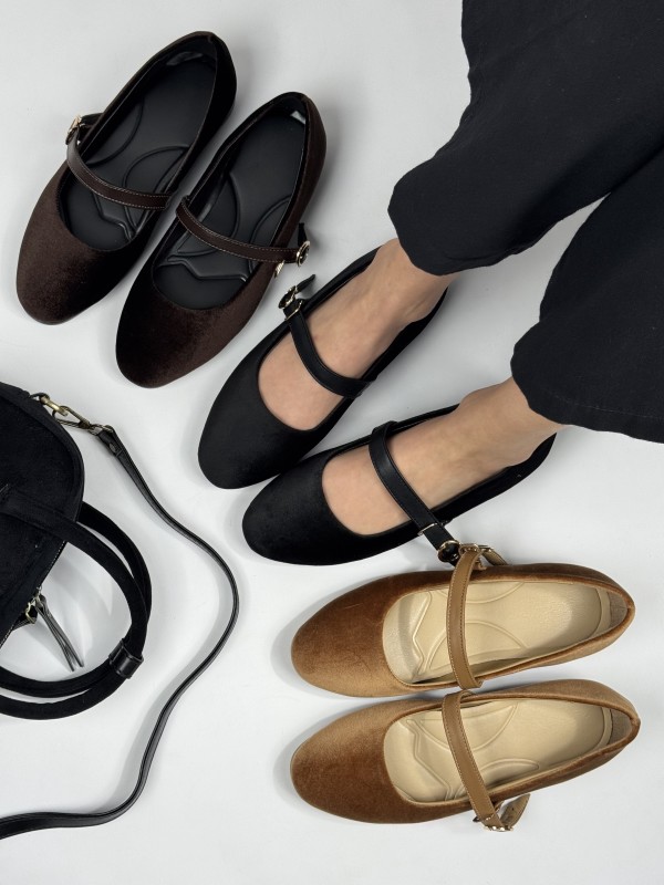 کالج باله  2484