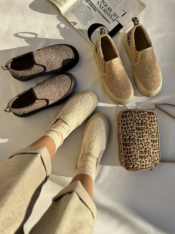 کالج تدی 1899