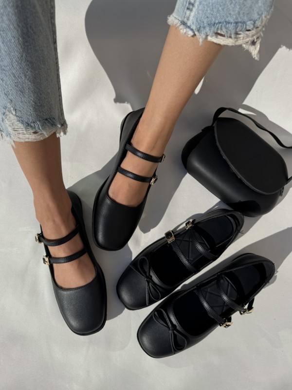 کالج دو سگک روژکا 2029