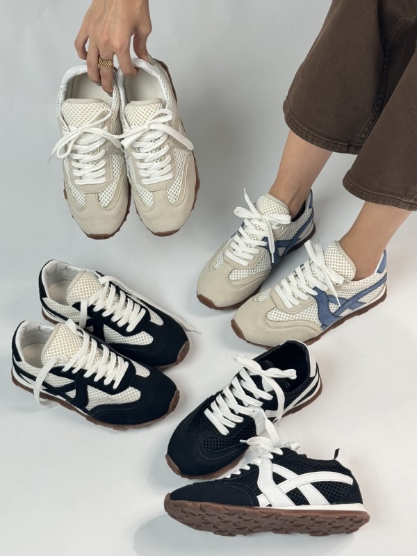 اسیکس توری 2259