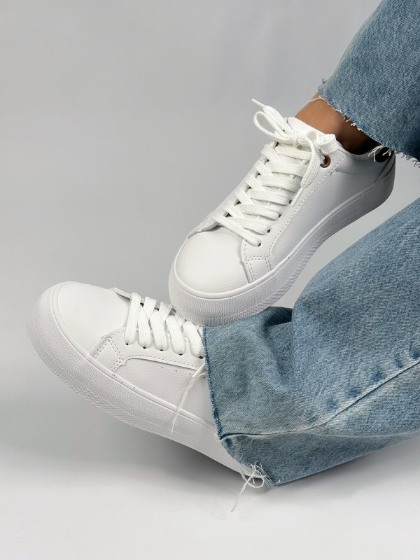 ونس برشکا پایتخت 2308