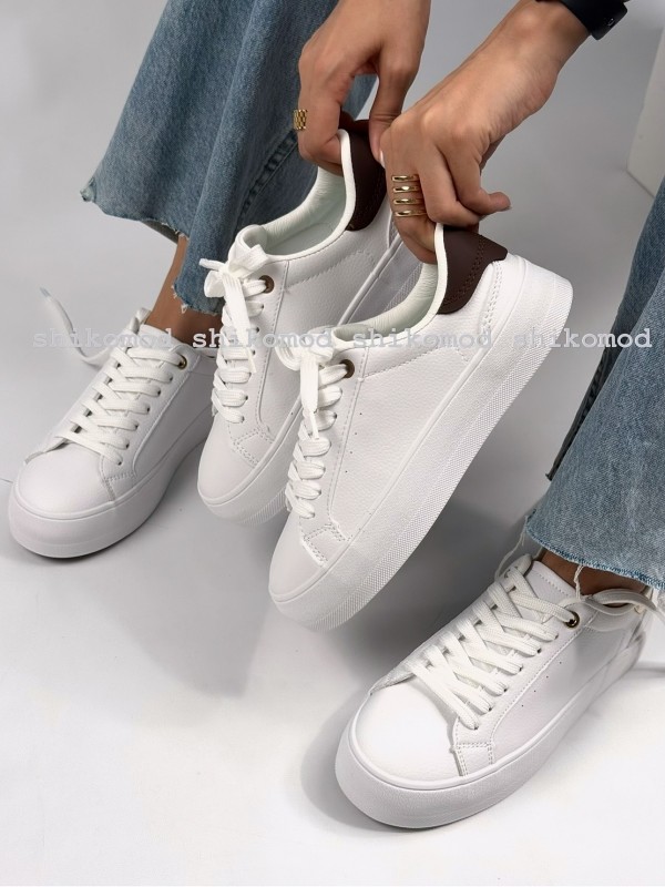 ونس برشکا پایتخت 2308