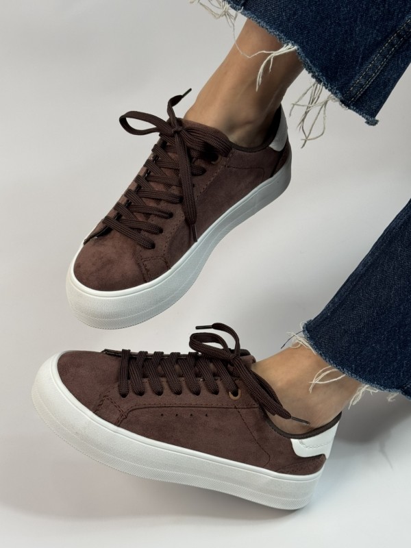 ونس برشکا پایتخت 2308