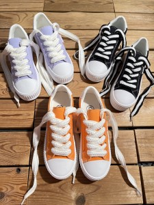 ونس جودون 1066