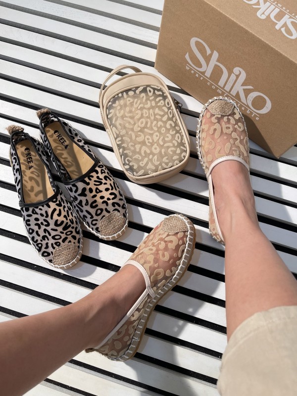 کالج پلنگی توری 1284