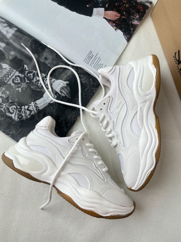 کتونی پدرو 1531