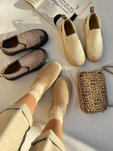 کالج تدی 1951