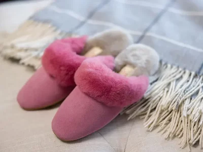 اسلیپر (Slipper) چیست؟