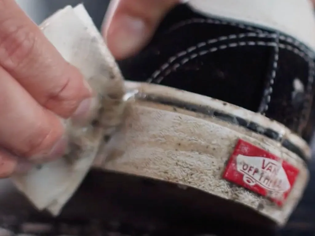 مراقبت از کفش ونس