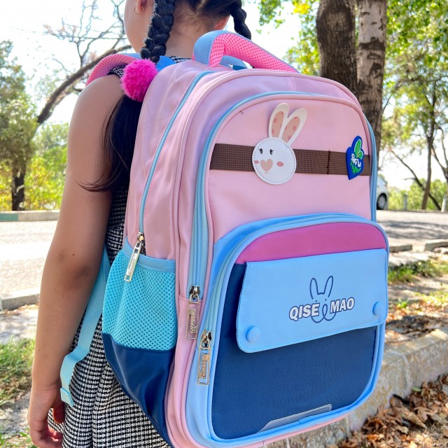 کوله دبستان 3181