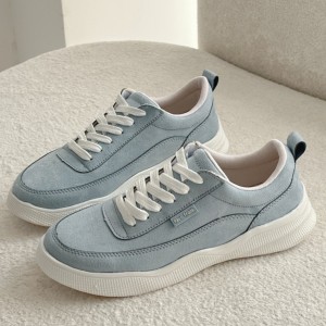 ونس جدید بنیتا 331