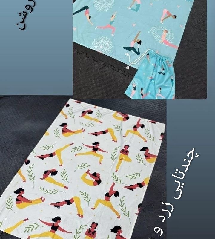 شوز بگ (کیف کفش)