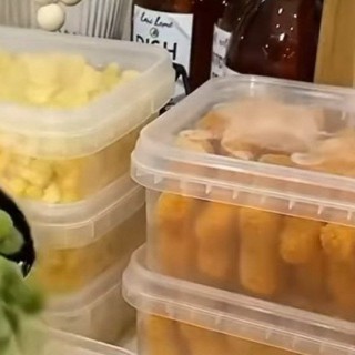 ظروف نگهدارنده فریزری ( 35 عددی)