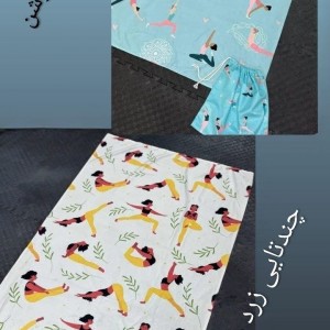 شوز بگ (کیف کفش)