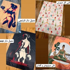 شوز بگ (کیف کفش)