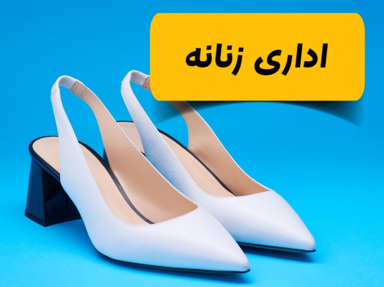 خرید اینترنتی کفش مجلسی و اداری زنانه راحت و شیک | فروشگاه شوزیت