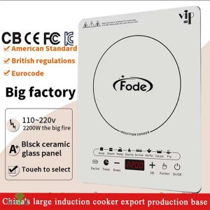 اچاق آشپزی القایی کاروان