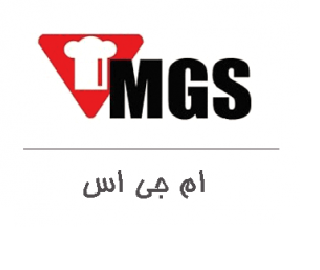 ام جی اس