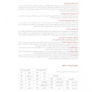 زودپز پارس استیل مدل پرشيا گنجایش 6 ليتر