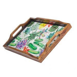 سینی مستطیل کاکتوس