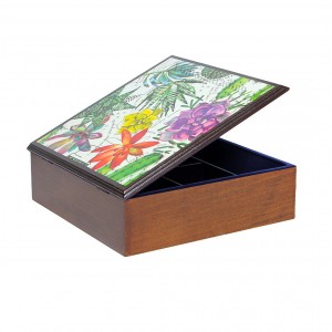 باکس بزرگ کاکتوس