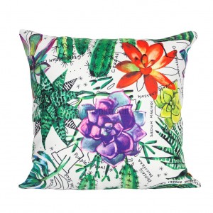 کوسن  کاکتوس لومانو