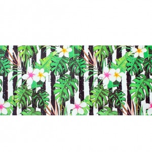 رانر بزرگ برگ انجیر