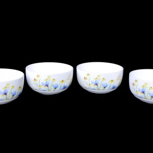 ست4عددی کاسه B.V.Kکد120005